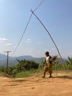 A young boy is walking along a dirt path in a rural area, carrying a bundle of plants. He is dressed in a casual outfit, including a blue jacket, beige shorts, and barefoot. The path is uneven and dusty, with a wooden pole and some makeshift wiring overhead.
