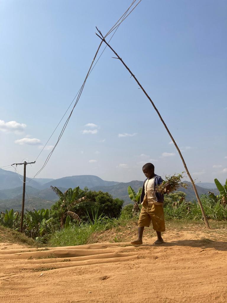 A young boy is walking along a dirt path in a rural area, carrying a bundle of plants. He is dressed in a casual outfit, including a blue jacket, beige shorts, and barefoot. The path is uneven and dusty, with a wooden pole and some makeshift wiring overhead.